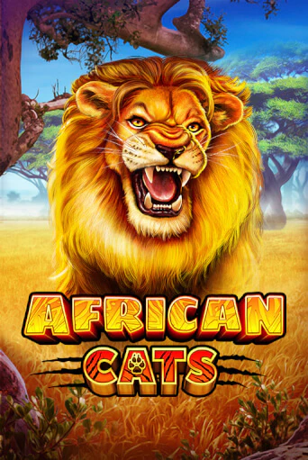 African Cats бесплатная демо игра | Вулкан Вегас Казахстан без регистрации