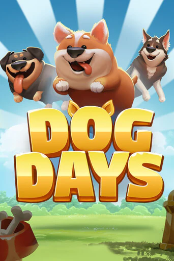 Dog Days бесплатная демо игра | Вулкан Вегас Казахстан без регистрации