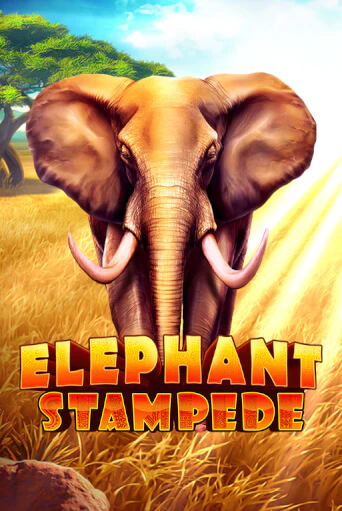 Elephant Stampede бесплатная демо игра | Вулкан Вегас Казахстан без регистрации