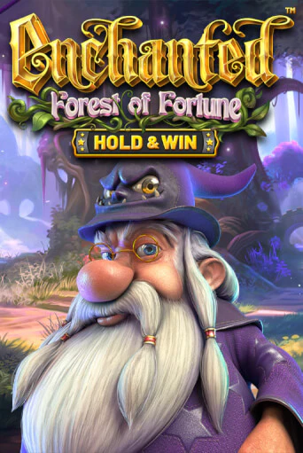 Enchanted: Forest Of Fortune бесплатная демо игра | Вулкан Вегас Казахстан без регистрации