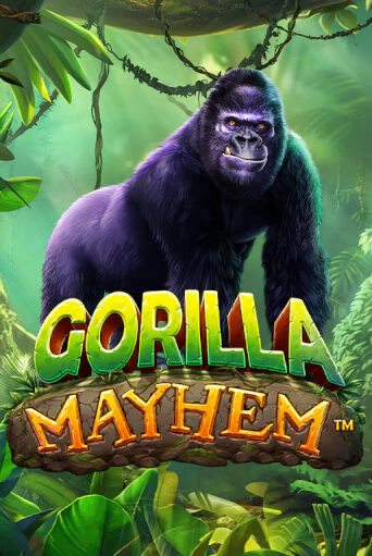 Gorilla Mayhem бесплатная демо игра | Вулкан Вегас Казахстан без регистрации