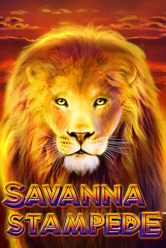 Savanna Stampede бесплатная демо игра | Вулкан Вегас Казахстан без регистрации