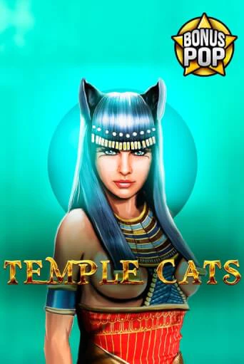 Temple Cats бесплатная демо игра | Вулкан Вегас Казахстан без регистрации