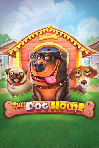 The Dog House бесплатная демо игра | Вулкан Вегас Казахстан без регистрации