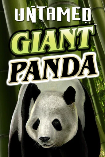 Untamed - Giant Panda бесплатная демо игра | Вулкан Вегас Казахстан без регистрации
