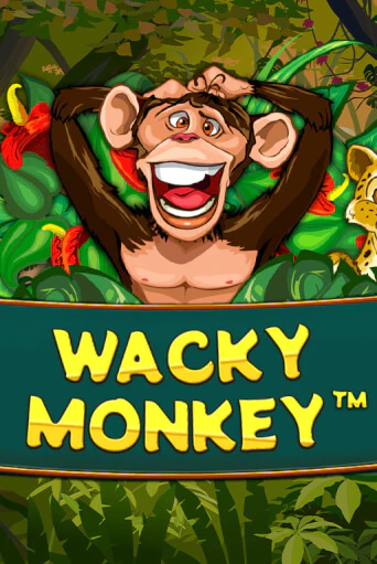 Wacky Monkey бесплатная демо игра | Вулкан Вегас Казахстан без регистрации