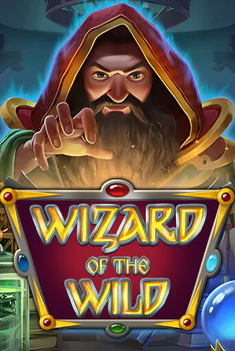 Wizard of the Wild бесплатная демо игра | Вулкан Вегас Казахстан без регистрации