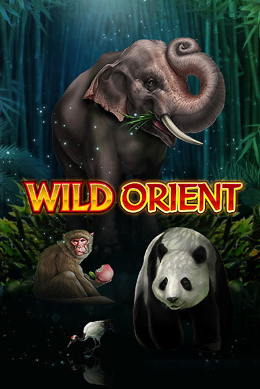 Wild Orient бесплатная демо игра | Вулкан Вегас Казахстан без регистрации